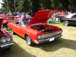 P1010145.JPG
